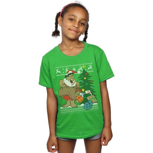 Abbigliamento Bambina T-shirts a maniche lunghe The Flintstones Christmas Fair Isle Verde