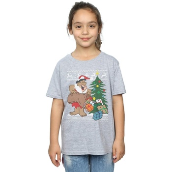 Abbigliamento Bambina T-shirts a maniche lunghe The Flintstones Christmas Fair Isle Grigio