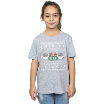 Abbigliamento Bambina T-shirts a maniche lunghe Friends Fair Isle Central Perk Grigio