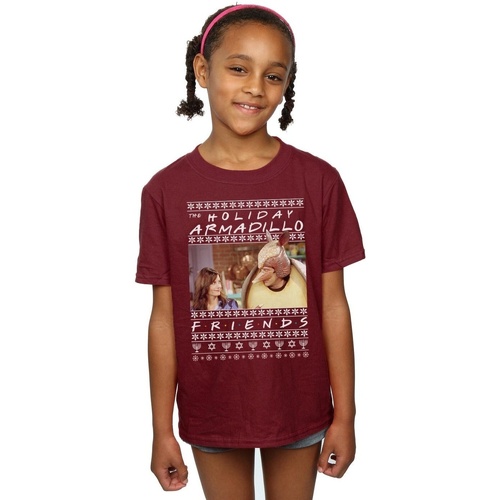 Abbigliamento Bambina T-shirts a maniche lunghe Friends Fair Isle Holiday Armadillo Multicolore