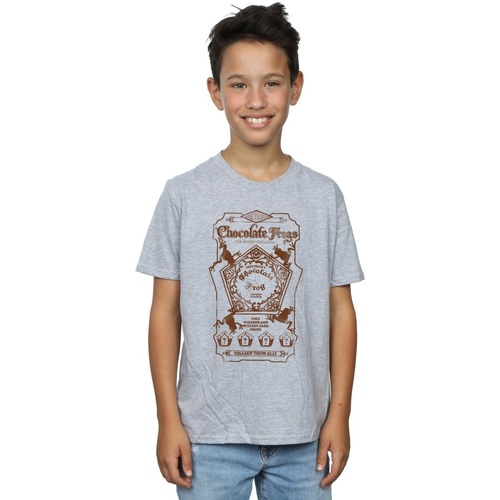 Abbigliamento Bambino T-shirt maniche corte Harry Potter Chocolate Frogs Mono Label Grigio
