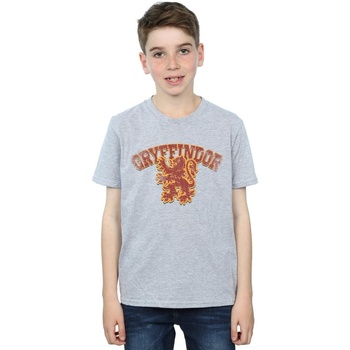 Abbigliamento Bambino T-shirt maniche corte Harry Potter Gryffindor Sport Emblem Grigio