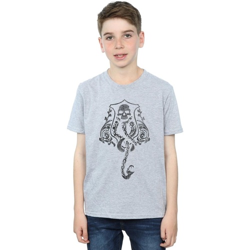 Abbigliamento Bambino T-shirt maniche corte Harry Potter Dark Mark Crest Grigio
