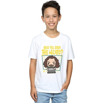Abbigliamento Bambino T-shirt maniche corte Harry Potter Sirius Black Azkaban Junior Bianco