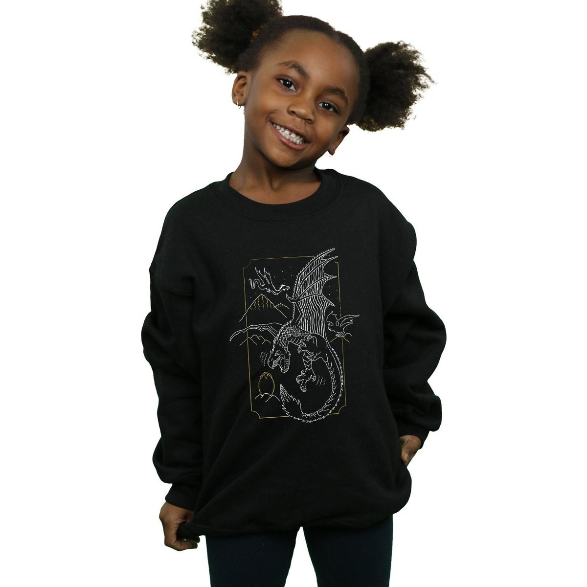 Abbigliamento Bambina Felpe Harry Potter Dragon Line Art Nero