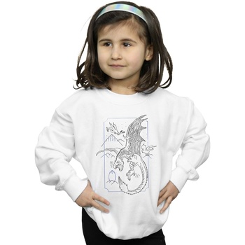 Abbigliamento Bambina Felpe Harry Potter Dragon Line Art Bianco