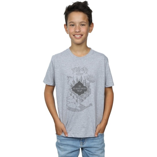 Abbigliamento Bambino T-shirt & Polo Harry Potter BI20121 Grigio