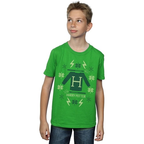 Abbigliamento Bambino T-shirt maniche corte Harry Potter Christmas Knit Verde
