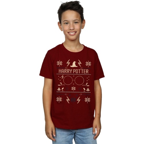 Abbigliamento Bambino T-shirt maniche corte Harry Potter Christmas Pattern Multicolore