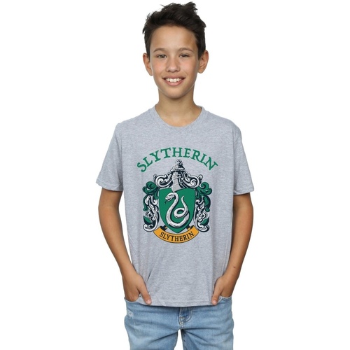 Abbigliamento Bambino T-shirt & Polo Harry Potter Slytherin Crest Grigio