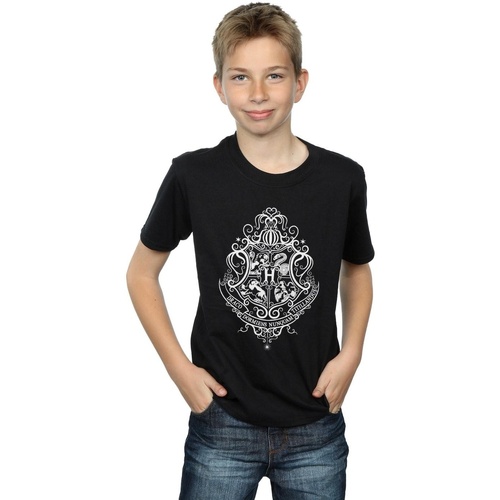 Abbigliamento Bambino T-shirt maniche corte Harry Potter Hogwarts Draco Dormiens Crest Nero