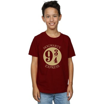 Abbigliamento Bambino T-shirt maniche corte Harry Potter Platrform Nine And Three-Quarters Viola