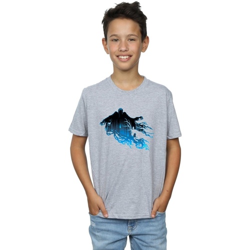 Abbigliamento Bambino T-shirt & Polo Harry Potter BI20292 Grigio