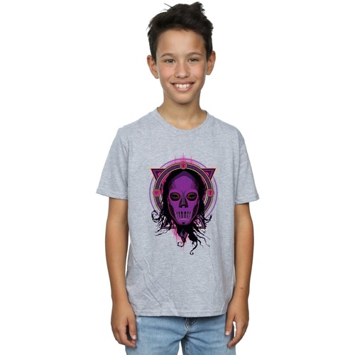 Abbigliamento Bambino T-shirt maniche corte Harry Potter Neon Death Eater Grigio