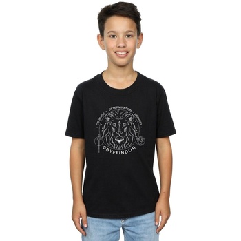 Abbigliamento Bambino T-shirt maniche corte Harry Potter Gryffindor Seal Nero