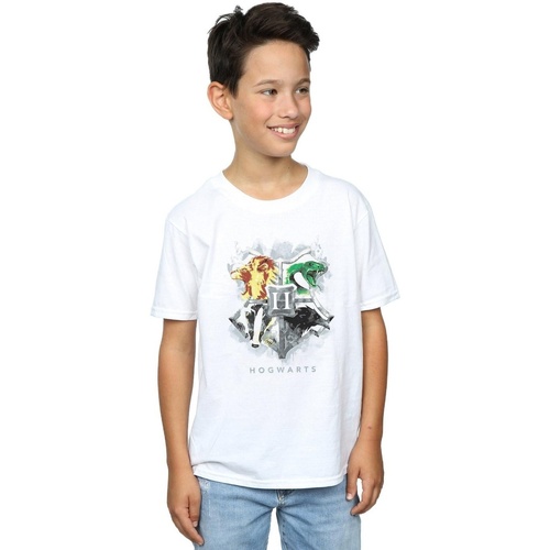 Abbigliamento Bambino T-shirt maniche corte Harry Potter Hogwarts Painted Crest Bianco
