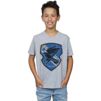 Abbigliamento Bambino T-shirt maniche corte Harry Potter Ravenclaw Crest Flat Grigio