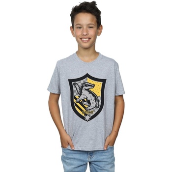 Abbigliamento Bambino T-shirt & Polo Harry Potter BI20522 Grigio