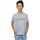 Abbigliamento Bambino T-shirt maniche corte Harry Potter Full Colour Logo Grigio
