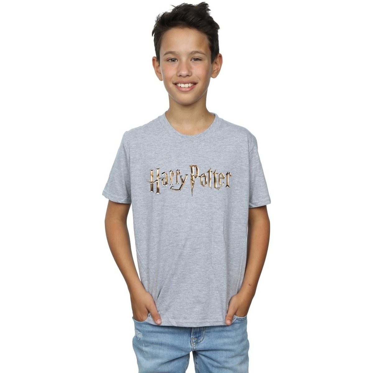 Abbigliamento Bambino T-shirt maniche corte Harry Potter Full Colour Logo Grigio