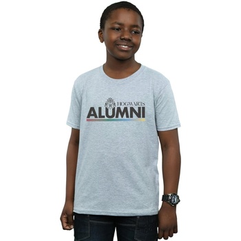 Abbigliamento Bambino T-shirt maniche corte Harry Potter Hogwarts Alumni Grigio
