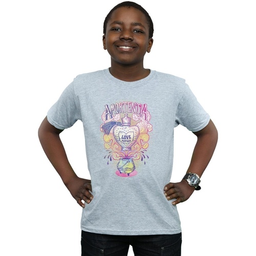 Abbigliamento Bambino T-shirt maniche corte Harry Potter Love Potion Grigio