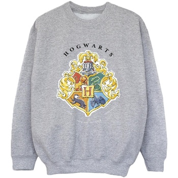 Abbigliamento Bambino Felpe Harry Potter Hogwarts School Emblem Grigio