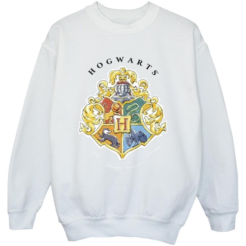 Abbigliamento Bambino Felpe Harry Potter Hogwarts School Emblem Bianco