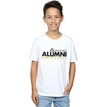Abbigliamento Bambino T-shirt maniche corte Harry Potter Hogwarts Alumni Hufflepuff Bianco