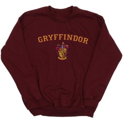 Abbigliamento Bambina Felpe Harry Potter Gryffindor Crest Multicolore