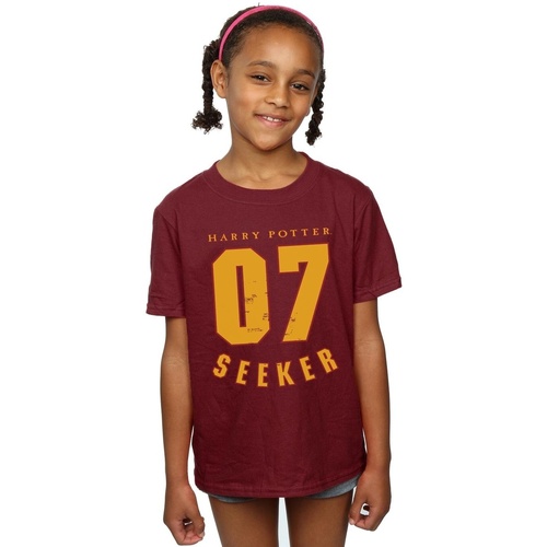 Abbigliamento Bambina T-shirts a maniche lunghe Harry Potter Seeker 07 Multicolore