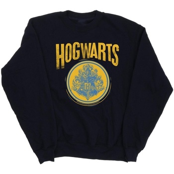 Abbigliamento Bambina Felpe Harry Potter Hogwarts Circle Crest Blu