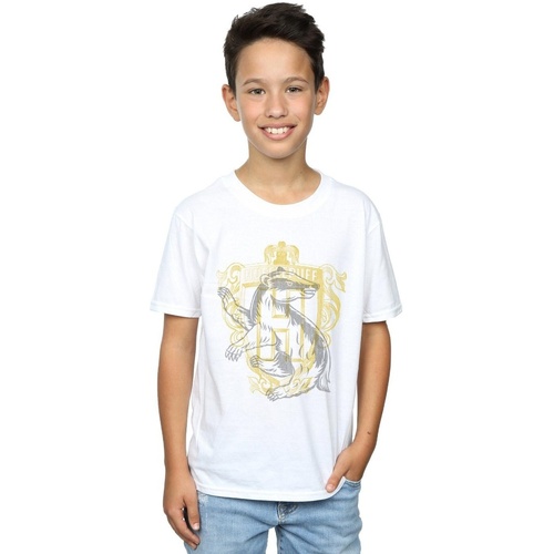 Abbigliamento Bambino T-shirt maniche corte Harry Potter Hufflepuff Badger Crest Bianco