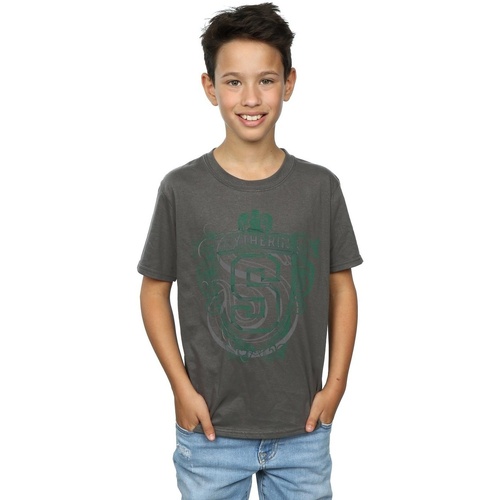 Abbigliamento Bambino T-shirt & Polo Harry Potter Slytherin Serpent Crest Multicolore