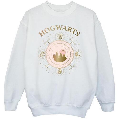 Abbigliamento Bambina Felpe Harry Potter Hogwarts Constellation Bianco