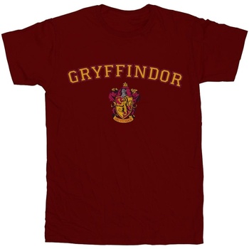 Abbigliamento Bambino T-shirt & Polo Harry Potter Gryffindor Crest Multicolore