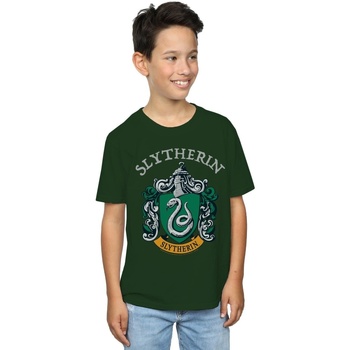 Abbigliamento Bambino T-shirt maniche corte Harry Potter Slytherin Crest Verde
