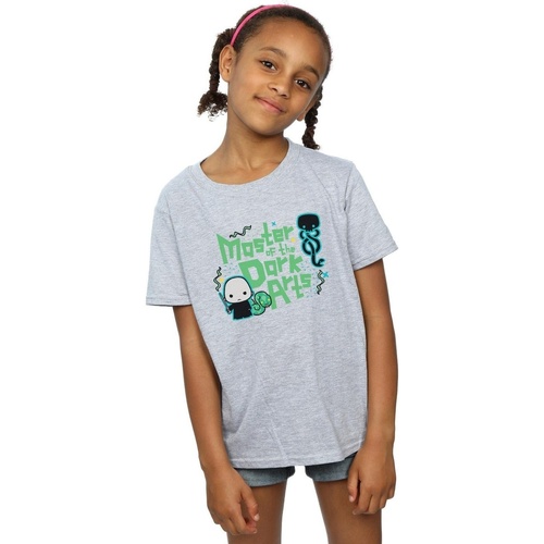 Abbigliamento Bambina T-shirts a maniche lunghe Harry Potter Voldemort Dark Arts Junior Grigio