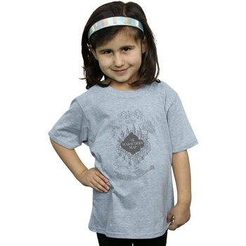 Abbigliamento Bambina T-shirts a maniche lunghe Harry Potter The Marauder's Map Grigio