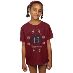 Abbigliamento Bambina T-shirts a maniche lunghe Harry Potter Christmas Knit Multicolore