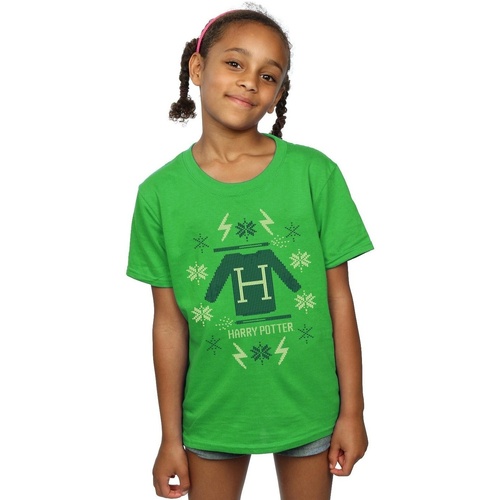 Abbigliamento Bambina T-shirts a maniche lunghe Harry Potter Christmas Knit Verde