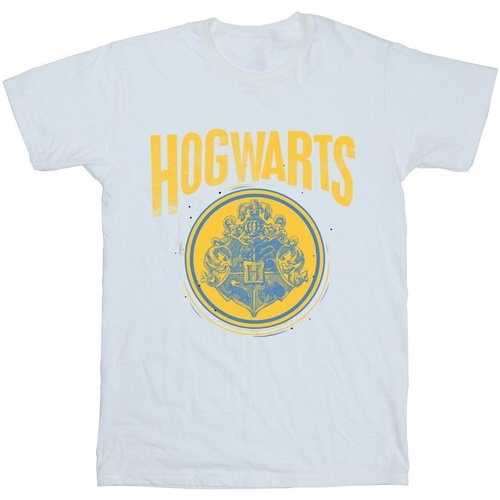Abbigliamento Bambino T-shirt maniche corte Harry Potter Hogwarts Circle Crest Bianco