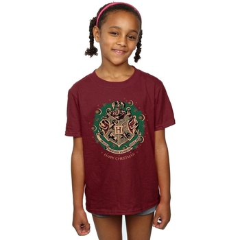 Abbigliamento Bambina T-shirts a maniche lunghe Harry Potter Christmas Wreath Multicolore