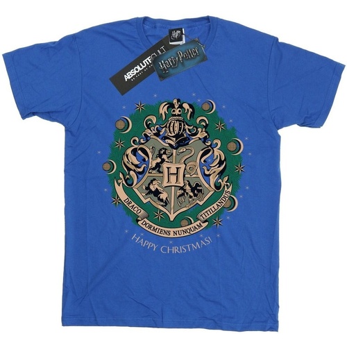 Abbigliamento Bambina T-shirts a maniche lunghe Harry Potter Christmas Wreath Blu