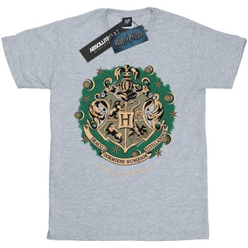 Abbigliamento Bambina T-shirts a maniche lunghe Harry Potter Christmas Wreath Grigio