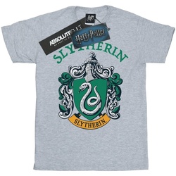 Abbigliamento Bambina T-shirts a maniche lunghe Harry Potter Slytherin Crest Grigio