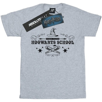 Abbigliamento Bambina T-shirts a maniche lunghe Harry Potter Hogwarts First Year Grigio