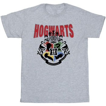 Abbigliamento Bambino T-shirt maniche corte Harry Potter Hogwarts Emblem Grigio