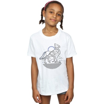 Abbigliamento Bambina T-shirts a maniche lunghe Harry Potter Buckbeak Line Art Bianco