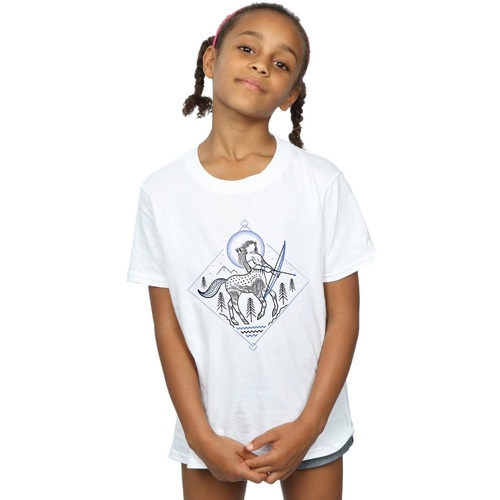 Abbigliamento Bambina T-shirts a maniche lunghe Harry Potter Centaur Line Art Bianco